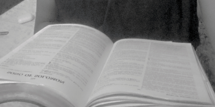the word
